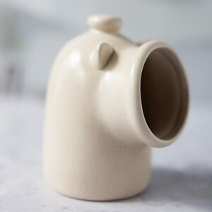 Salt pig or cellar ceramic pottery animal shape kitschy kitchen sponge holder